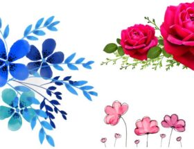 clipart:5ftz0amu-rq= flowers