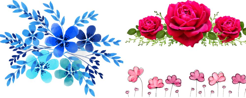 clipart:5ftz0amu-rq= flowers